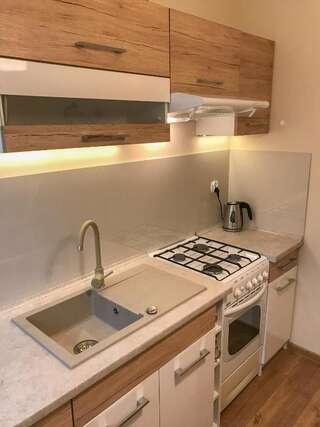 Апартаменты Apartament Awiator Mielec Мелец Апартаменты с 1 спальней-45