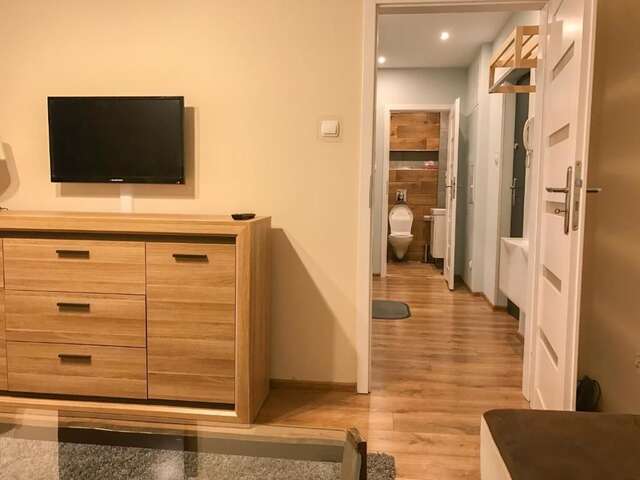 Апартаменты Apartament Awiator Mielec Мелец-45